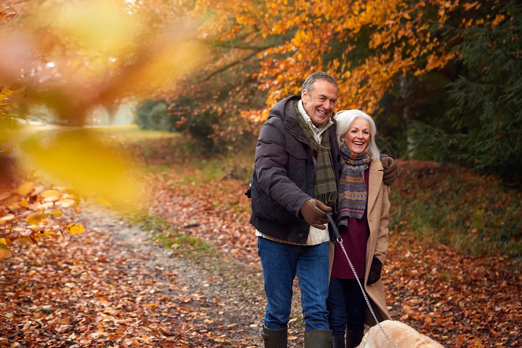 Ein Paar geht mit seinem Hund auf einem herbstlichen Waldweg spazieren